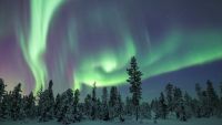 Solar Storms-The Perils of Life with a Star