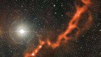 Interstellar Molecular Clouds