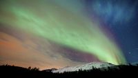 The Magnetic Beauty of the Active Sun