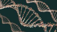 Origin of Terrestrial Life