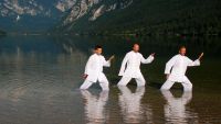 Mental and Physical Flow