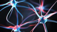 Neural Network Models