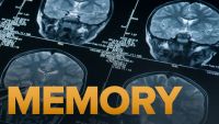 Memory and the Human Lifespan