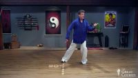 Walking like a Cat