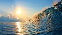 Bring Out Your Flow