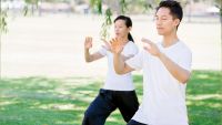 Partners: The Whole Body Is the Hand