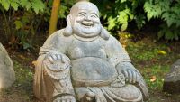 Lotus Kick and Laughing Buddha