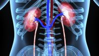 Simmering Soup-The Neuroendocrine System