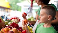 The Master Plan-Public Health and Policy