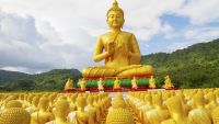 Mindfulness-The Power of Awareness