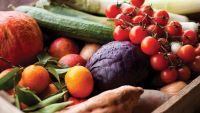 Was the Stone Age Menu Mostly Vegetarian?