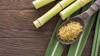 How Sugar and Salt Shaped World History