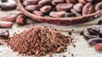 The Science and Secrets of Chocolate
