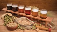Beer, Mead, and the Fun of Fermentation