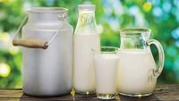The Coevolution of Genes and Diet