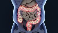 The Gut Microbiome