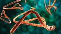 Civilization: Diets and Diseases