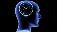 The Wheels of the Circadian Clock