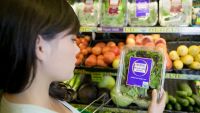 Sources of Nutrition Fact and Fiction