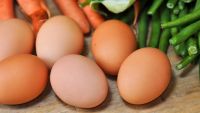Protein-An Indispensable Nutrient