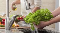 Food Safety-It's in Your Hands