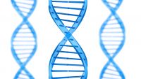 DNA Is the Key to Understanding Cancer