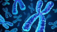 What Is Different about Cancer Cells?