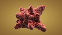 How Do Tumors Grow?