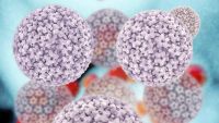 What Are Tumor Viruses?