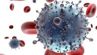How Do Tumor Viruses Cause Cancer?