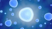 How Do Cancer-Causing Genes Work?