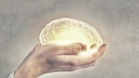Freud's Psychodynamic Theory