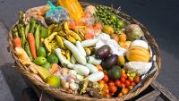 Food Matters