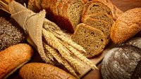 Carbohydrates: Composition, Storage, and Use