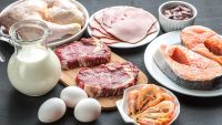 Protein's Critical Role in Body Composition