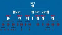 K for Ket