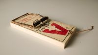 Open-Ended Questions: Setting Traps