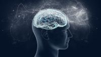 Criminal Law and Procedure: Crime and the Guilty Mind