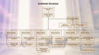 Anatomy of a Federal White Collar Case