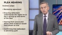 Plea Bargains and Immunity Deals