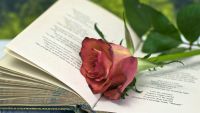 The Uses of Poetry