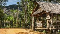 Robinson Crusoe-A Lone Survivor