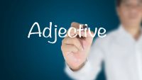 Interrogative Adjectives and Pronouns