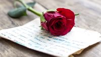 Got Poetry? Language with Spice
