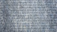 The History of Language