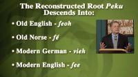Historical Linguistics and Studying Culture