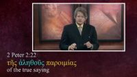 Third-Declension Adjectives