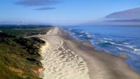 Planetary Ecology in Dune