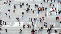 Social Sciences and the Foundation Series