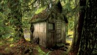 "Hansel and Gretel": Ogres